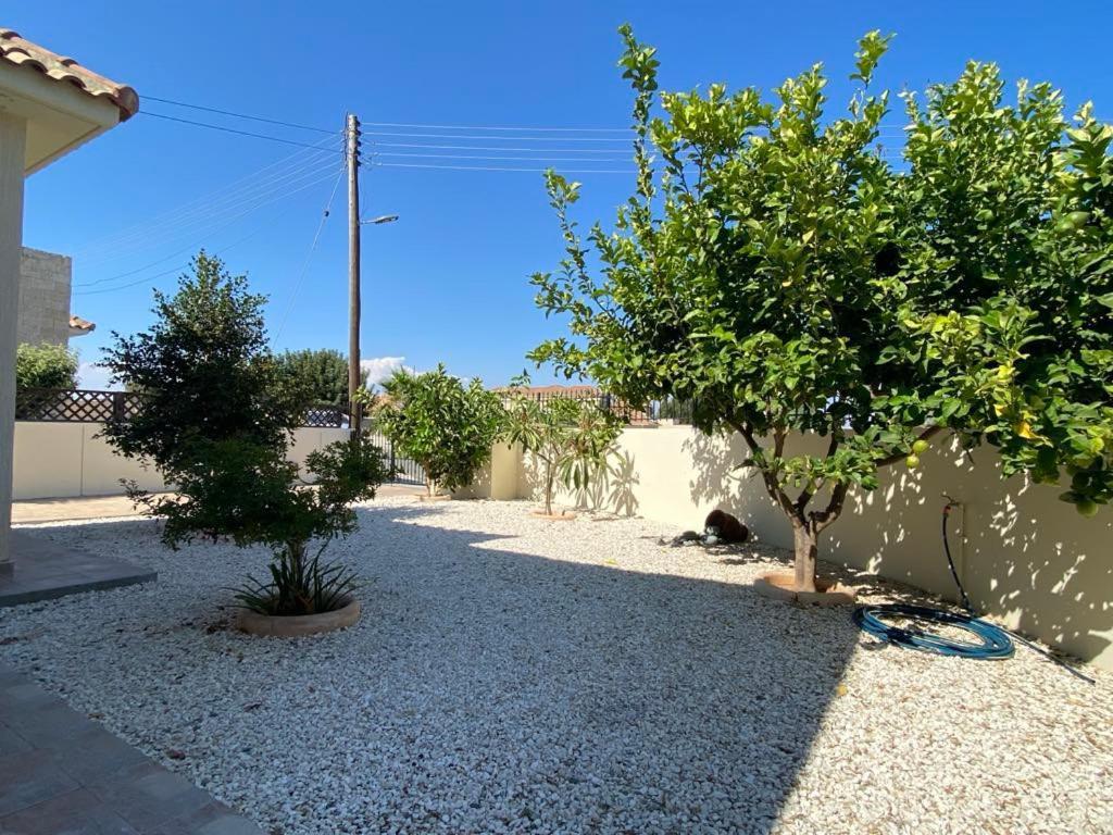 Villa Trachonas Pissouri Exteriör bild
